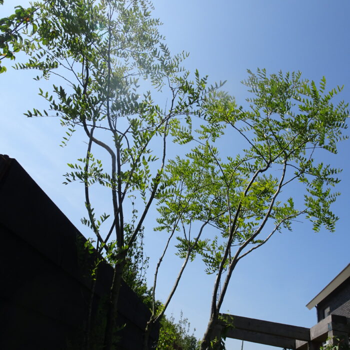 DSC02831